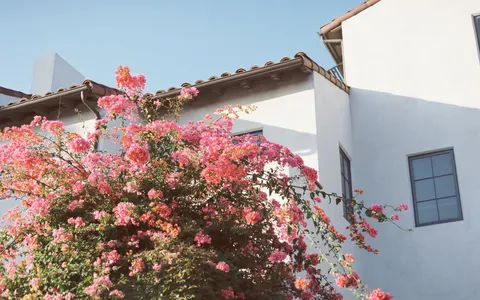 Laura Dietz, real estate agent in Altadena