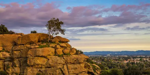 Carey Eckert, real estate agent in Granada Hills
