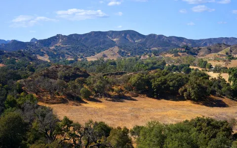 Mark Bolender, real estate agent in Canyon Country