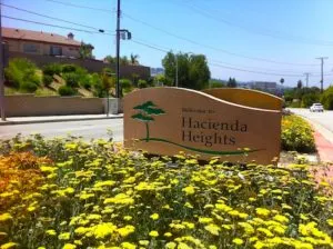 Vincent Yan, real estate agent in Hacienda Heights