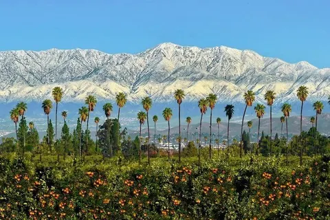 Todd Bruce, real estate agent in Riverside