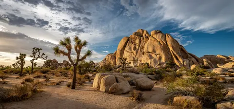 Russel Waldron, real estate agent in Joshua Tree