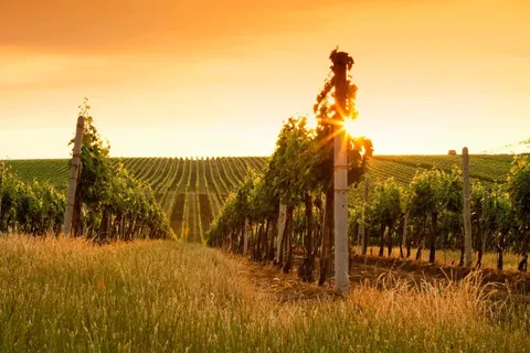 Clinton Kuhnle, real estate agent in Paso Robles