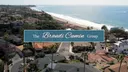 Brandi Cumin