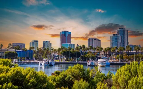Adam Loucks, real estate agent in Long Beach