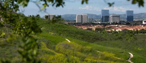 Anne Suri, real estate agent in Irvine