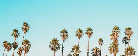 Trey Ballard, real estate agent in Glendale