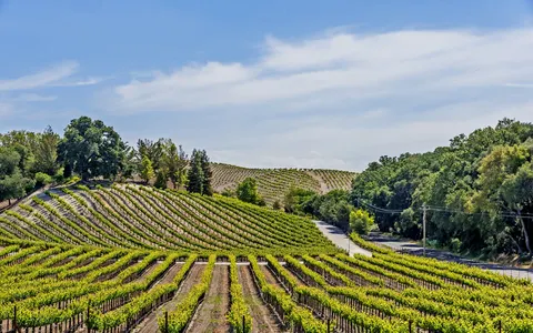 Jordan Jackson, real estate agent in Paso Robles
