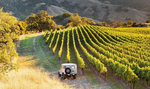Joshua Miller, real estate agent in Paso Robles