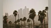Tina Louise Sanchez, real estate agent in Gardena