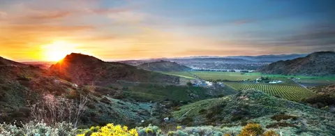Debbie Brewington, real estate agent in San Juan Capistrano