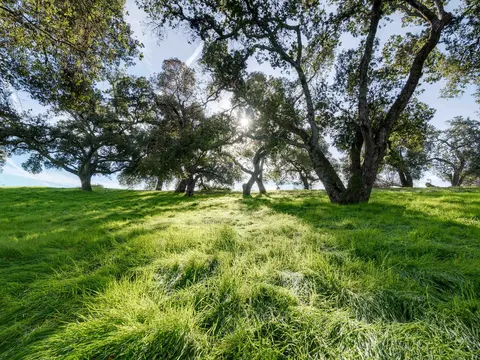 David Gray, real estate agent in Atascadero