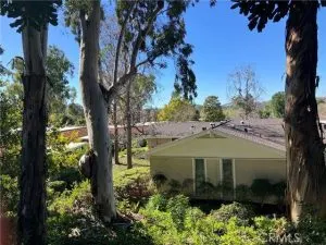 Keli Mccall, real estate agent in Laguna Woods