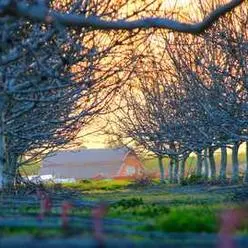 Nancy Griffith, real estate agent in Lake Elsinore