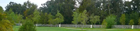 Mike Spasiano, real estate agent in Camarillo