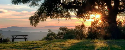 Lynn Goodman, real estate agent in Ojai