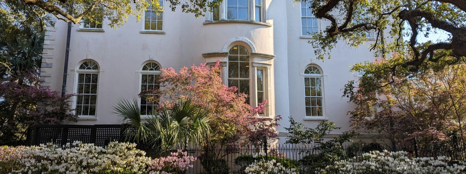 A house exterior framed by blooming spring trees